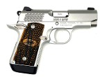 KIMBER MICRO 9 RAPTOR 9MM LUGER (9X19 PARA) - 2 of 5
