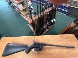 HENRY US SURVIVAL .22 BLACK .22 LR - Image 1 of 1