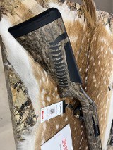 BENELLI SUPER BLACK EAGLE [MOB] 12 GA - Image 2 of 9