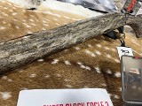 BENELLI SUPER BLACK EAGLE [MOB] 12 GA - Image 6 of 9