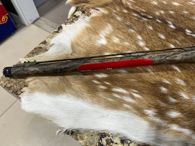 BENELLI SUPER BLACK EAGLE [MOB] 12 GA - Image 7 of 9