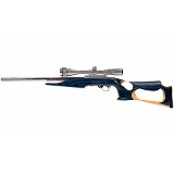 RUGER 10/22 .22 LR - 1 of 9