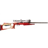 RUGER 10/22 .22 LR - 2 of 9