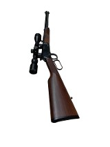 HENRY H001M .22 WMR - 2 of 7