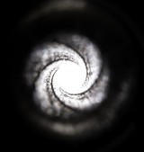 IZHEVSK 91/30 Mosin Nagant 7.62X54MMR - Image 17 of 17