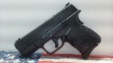 SPRINGFIELD ARMORY XDS-45 3.3 45 ACP (45 Auto) - 9 of 9