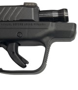 RUGER LCP Max .380 ACP - Image 6 of 7