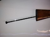 BROWNING SA-22 .22 LR - Image 20 of 25