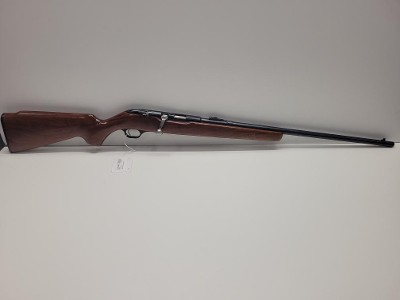 REVELATION 100 .22 LR - Image 1 of 10