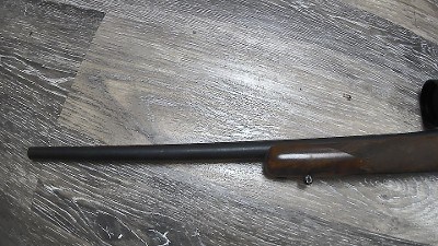 RUGER M77 HAWKEYE COMPACT 7MM-08 REM - Image 8 of 8