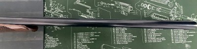 CZ SHARP TAIL 12 GA - Image 5 of 8
