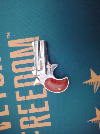 DAVIS INDUSTRIES DM-22 .22 WMR - Image 2 of 2