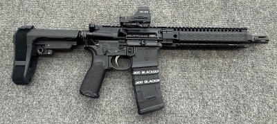 PRIMARY WEAPONS SYSTEMS (PWS) MK1 .300 AAC BLACKOUT - Image 1 of 9
