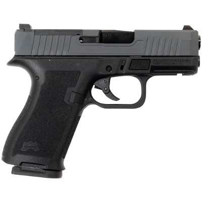 PALMETTO STATE ARMORY DAGGER MICRO 9MM LUGER (9X19 PARA) - Image 2 of 3