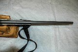 RUGER M77/17 .17 HMR - 17 of 19