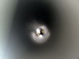 BERETTA 1934C .380 ACP - Image 9 of 9