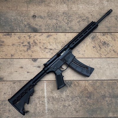 SMITH & WESSON M&P15-22 .22 LR - Image 2 of 4