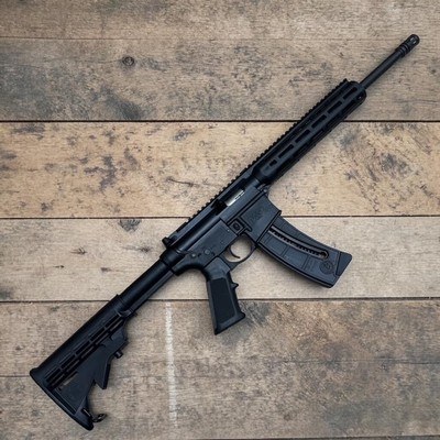 SMITH & WESSON M&P15-22 .22 LR - Image 1 of 4
