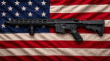 PALMETTO STATE ARMORY G310 .308 WIN - Image 1 of 2