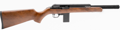 CHIAPPA FIREARMS BUSHRANGER .22 LR - Image 1 of 1