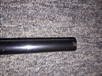 BAUER FIREARMS 71e 12 GA - Image 4 of 7