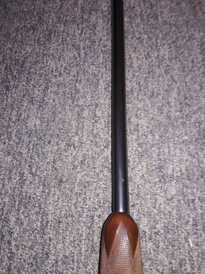 BAUER FIREARMS 71e 12 GA - Image 5 of 7
