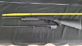 ROSSI s411220 .22 LR/.410 GA - 1 of 2