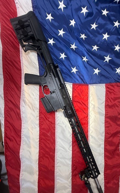 PALMETTO STATE ARMORY PS-10 .308 WIN - Image 1 of 3