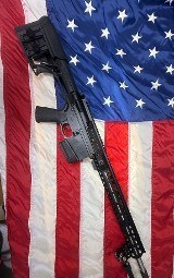 PALMETTO STATE ARMORY PS-10 .308 WIN - Image 1 of 3