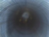 TRISTAR ARMS INC. viper 12 GA - Image 25 of 25