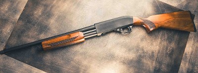 LEGACY SPORTS INTERNATIONAL PUMA 12 GA - Image 1 of 7