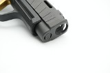 SIG SAUER P365 9MM LUGER (9x19 PARA) - 7 of 25