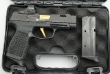 SIG SAUER P365 9MM LUGER (9x19 PARA) - 25 of 25