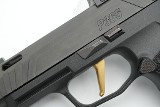 SIG SAUER P365 9MM LUGER (9x19 PARA) - 17 of 25