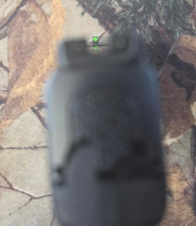 SMITH & WESSON M&P9 SHIELD PLUS 9MM LUGER (9x19 PARA) - Image 6 of 6