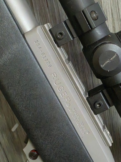 RUGER 10/22 STAINLESS .22LR/.22MAG - Image 6 of 7