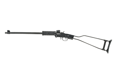 CHIAPPA FIREARMS LITTLE BADGER .22 WMR - Image 2 of 3