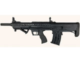 T R IMPORTS EVO-BT 12 GA - Image 1 of 1