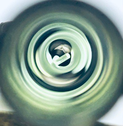 BENELLI NOVA PUMP ACTION 12 GA - Image 12 of 12