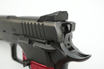 DAN WESSON FIREARMS DWX 9MM LUGER (9x19 PARA) - Image 23 of 25