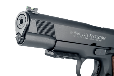 Chiappa Firearms 1911-22 Custom .22 LR - Image 4 of 4