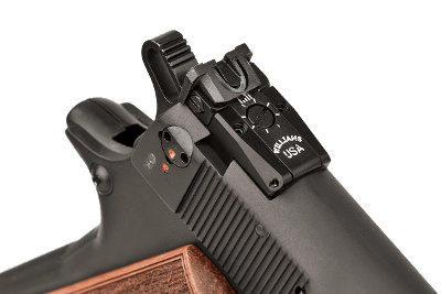 Chiappa Firearms 1911-22 Custom .22 LR - Image 3 of 4