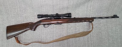 WINCHESTER model 100 .308 WIN - Image 1 of 7