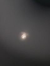 RUGER MARK 2 TARGET .22 LR - Image 7 of 7