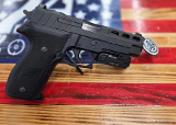SIG SAUER P226 9MM LUGER (9x19 PARA) - Image 1 of 1