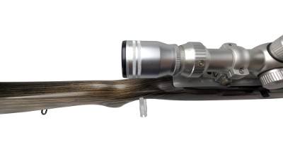 RUGER 10/22 .22 LR - Image 16 of 25