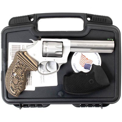 CHARTER ARMS TARGET PATHFINDER .22 WMR - Image 3 of 3