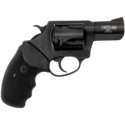 CHARTER ARMS PITBULL .40 S&W - Image 2 of 3