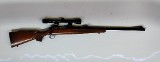 REMINGTON 700 .243 WIN