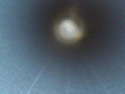 WINCHESTER SX4 Hybrid Hunter MOSGH 12 GA - Image 25 of 25